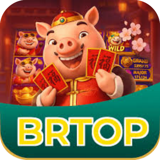 Logo brtop